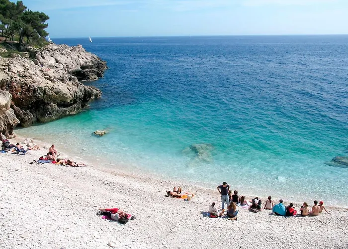 Linden Tree By Interhome * Póla